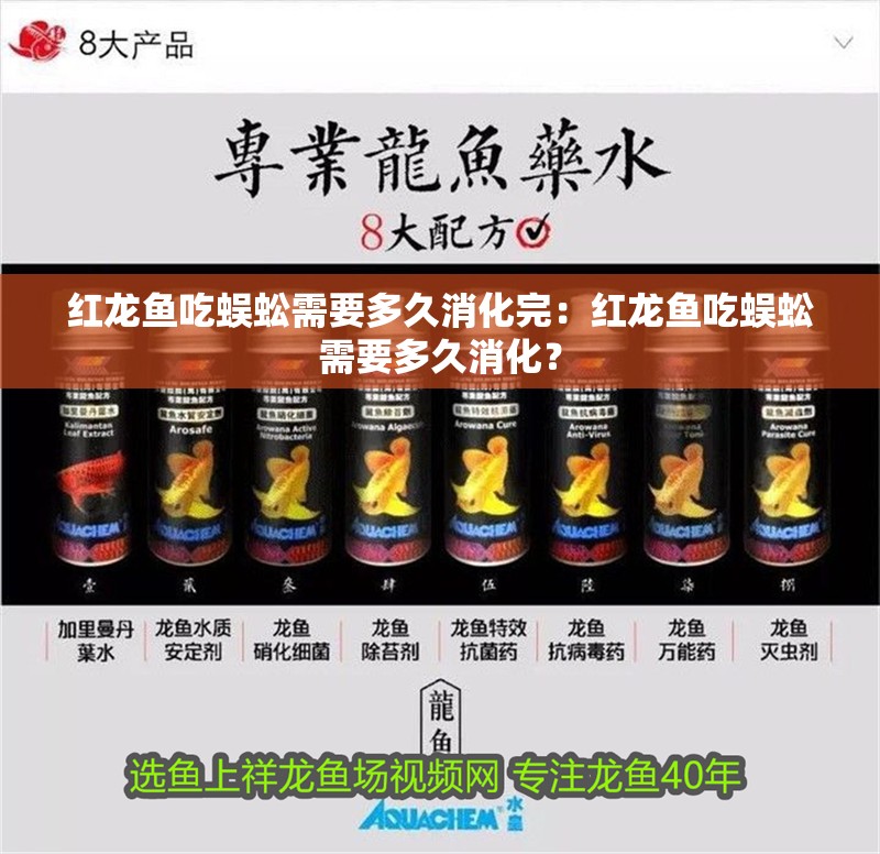 紅龍魚吃蜈蚣需要多久消化完：紅龍魚吃蜈蚣需要多久消化？