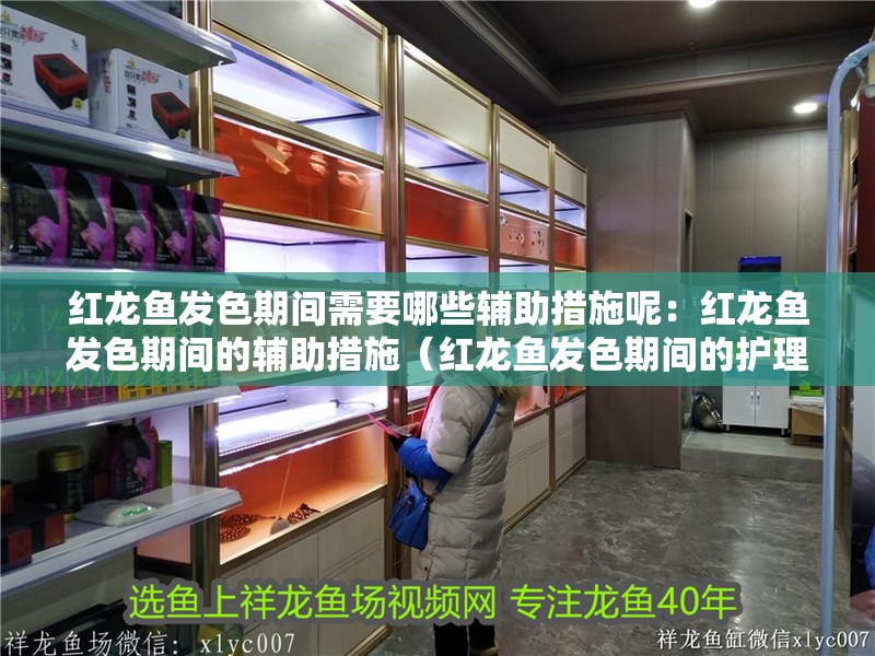 紅龍魚發色期間需要哪些輔助措施呢：紅龍魚發色期間的輔助措施（紅龍魚發色期間的護理）