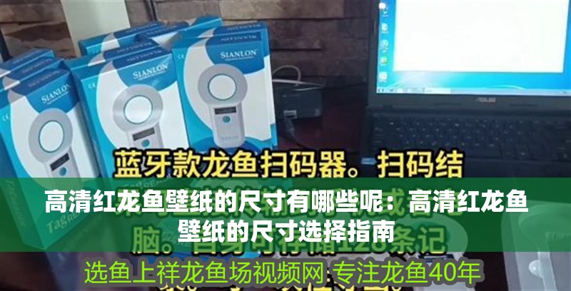 高清紅龍魚壁紙的尺寸有哪些呢：高清紅龍魚壁紙的尺寸選擇指南