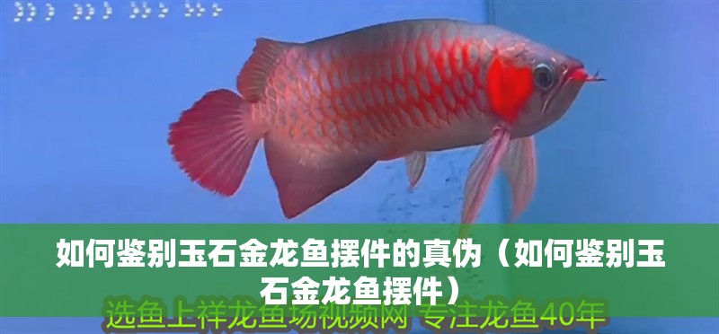 如何鑒別玉石金龍魚擺件的真?zhèn)危ㄈ绾舞b別玉石金龍魚擺件）