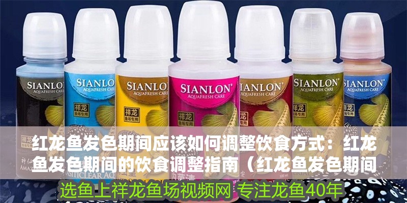 紅龍魚發(fā)色期間應(yīng)該如何調(diào)整飲食方式：紅龍魚發(fā)色期間的飲食調(diào)整指南（紅龍魚發(fā)色期間如何調(diào)整飲食） 紅龍魚發(fā)色期間應(yīng)該如何調(diào)整飲食方式：紅龍魚發(fā)色期間的飲食調(diào)整指南（紅龍魚發(fā)色期間如何調(diào)整飲食） 水族問答