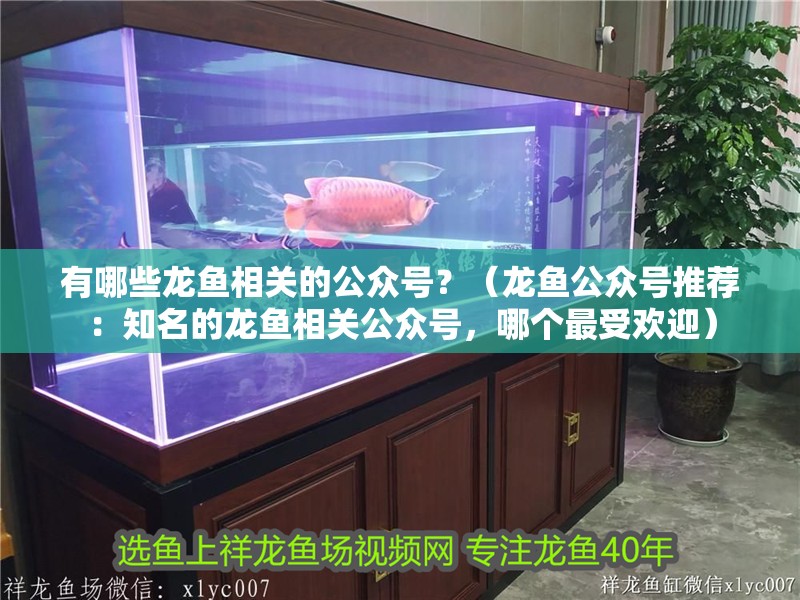 有哪些龍魚相關的公眾號？（龍魚公眾號推薦：知名的龍魚相關公眾號，哪個最受歡迎）
