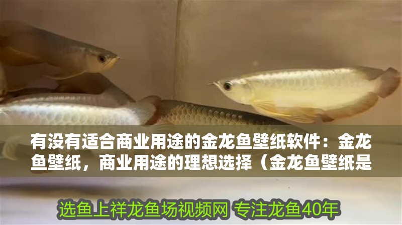 有沒有適合商業用途的金龍魚壁紙軟件：金龍魚壁紙，商業用途的理想選擇（金龍魚壁紙是商業用途的理想選擇）