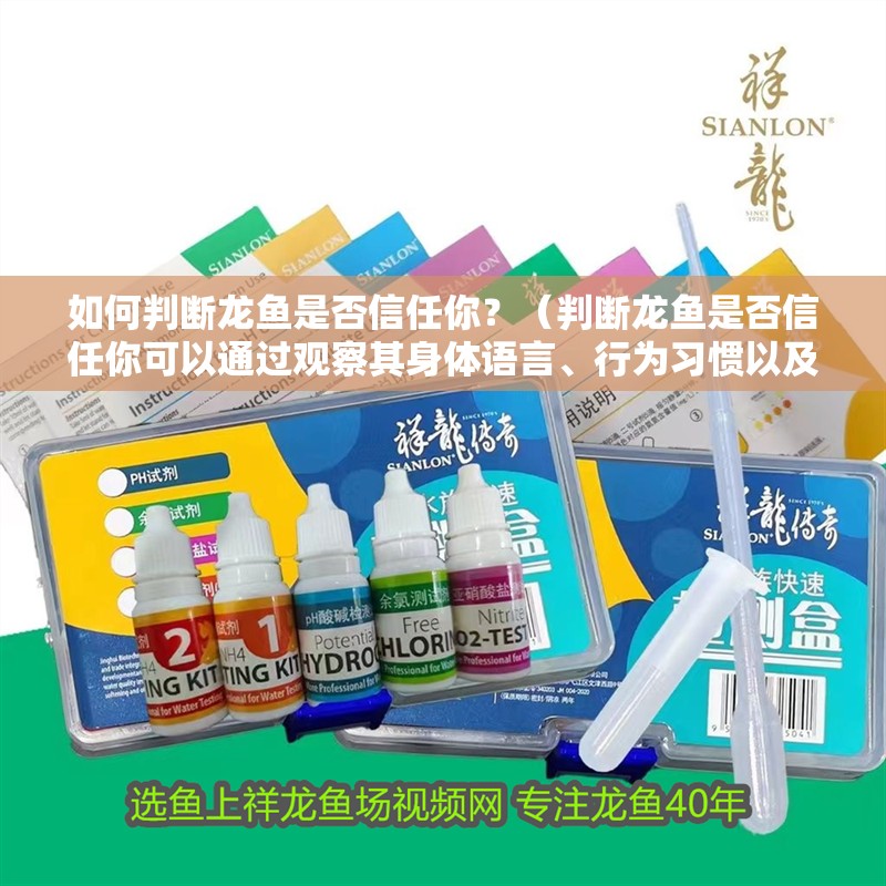 龍魚干蝦有營養(yǎng)嗎 如何判斷龍魚是否信任你?(判斷龍魚是否信任你可以通過觀察其身體語言、行為習(xí)慣以及互動) 龍魚百科 如何判斷龍魚是否信任你?(判斷龍魚是否信任你可以通過觀察其身體語言、行為習(xí)慣以及互動) 如何判斷龍魚是否信任你?(判斷龍魚是否信任你可以通過觀察其身體語言、行為習(xí)慣以及互動) 龍魚百科