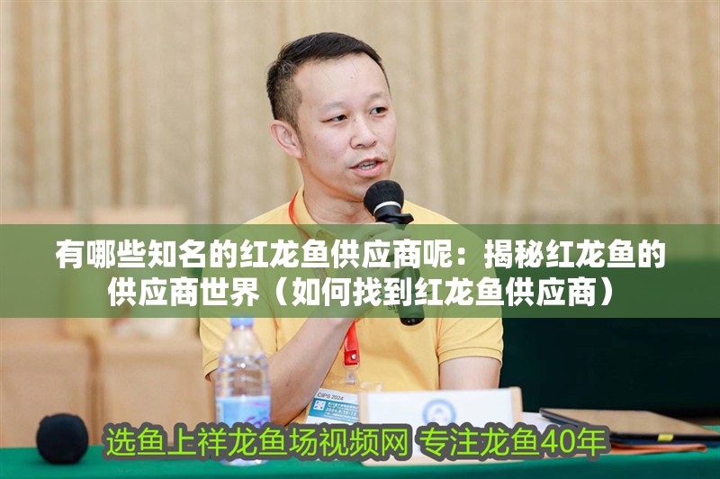 有哪些知名的紅龍魚供應商呢：揭秘紅龍魚的供應商世界（如何找到紅龍魚供應商）
