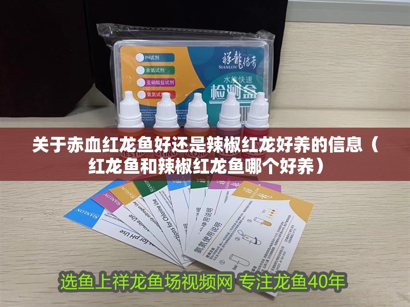 關于赤血紅龍魚好還是辣椒紅龍好養的信息（紅龍魚和辣椒紅龍魚哪個好養）