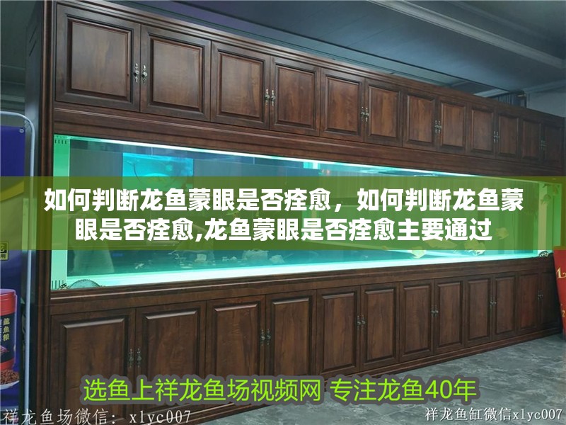 如何判斷龍魚蒙眼是否痊愈，如何判斷龍魚蒙眼是否痊愈,龍魚蒙眼是否痊愈主要通過