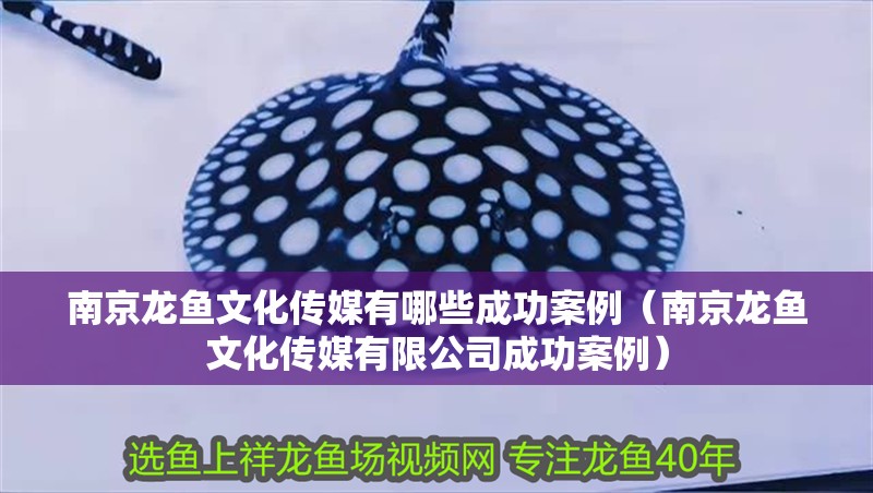南京龍魚文化傳媒有哪些成功案例（南京龍魚文化傳媒有限公司成功案例） 南京龍魚文化傳媒有哪些成功案例（南京龍魚文化傳媒有限公司成功案例） 龍魚百科