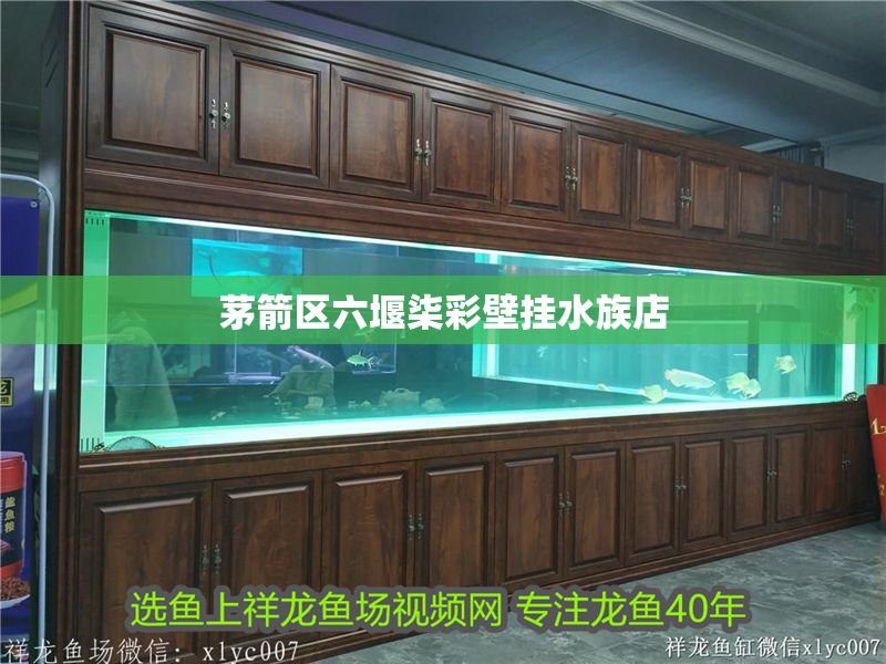 茅箭區六堰柒彩壁掛水族店