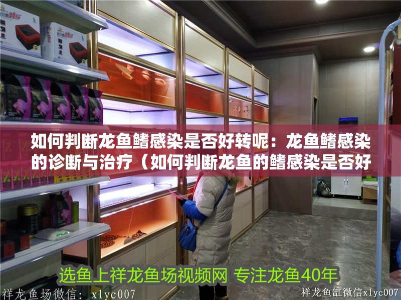 如何判斷龍魚鰭感染是否好轉呢：龍魚鰭感染的診斷與治療（如何判斷龍魚的鰭感染是否好轉）