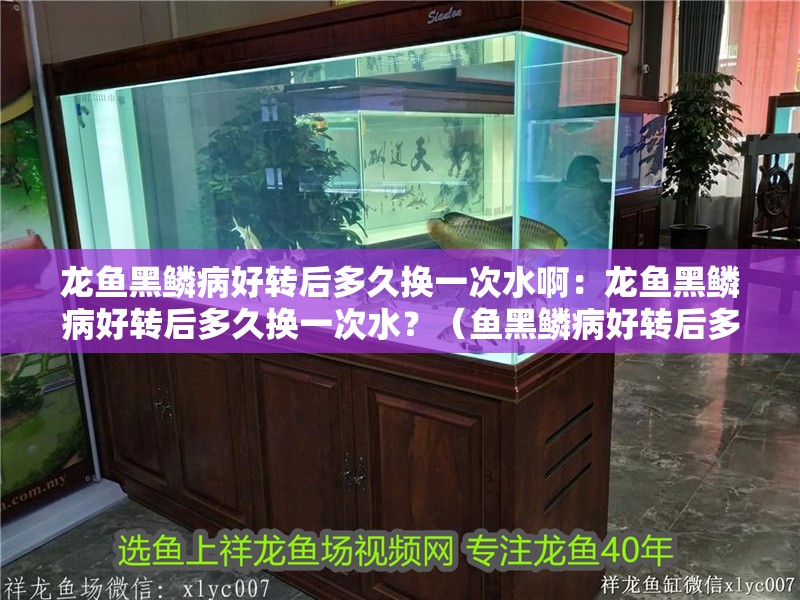 龍魚黑鱗病好轉(zhuǎn)后多久換一次水啊：龍魚黑鱗病好轉(zhuǎn)后多久換一次水？（魚黑鱗病好轉(zhuǎn)后多久換一次水/4左右，龍魚健康需注意）