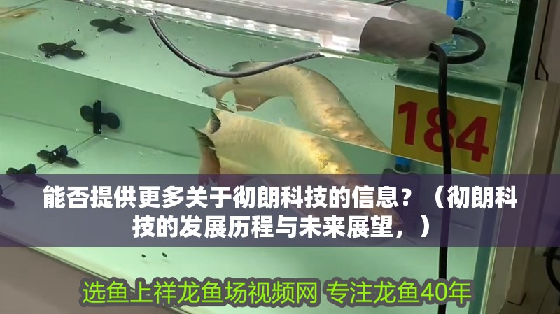 能否提供更多關于徹朗科技的信息？（徹朗科技的發展歷程與未來展望，）