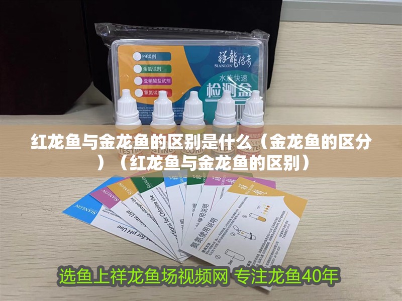 魚缸用增氧泵價(jià)格是多少:魚缸增氧機(jī)-xtrac增氧機(jī)-xtrac增氧機(jī) 紅龍魚與金龍魚的區(qū)別是什么(金龍魚的區(qū)分)(紅龍魚與金龍魚的區(qū)別) 觀賞魚百科 紅龍魚與金龍魚的區(qū)別是什么(金龍魚的區(qū)分)(紅龍魚與金龍魚的區(qū)別) 紅龍魚與金龍魚的區(qū)別是什么(金龍魚的區(qū)分)(紅龍魚與金龍魚的區(qū)別) 觀賞魚百科