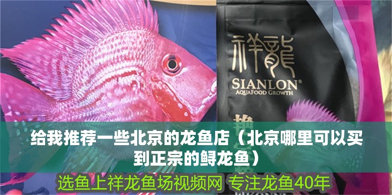 給我推薦一些北京的龍魚店（北京哪里可以買到正宗的鱘龍魚）
