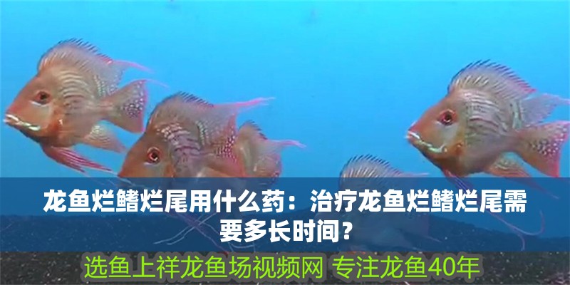 龍魚爛鰭爛尾用什么藥：治療龍魚爛鰭爛尾需要多長時間？