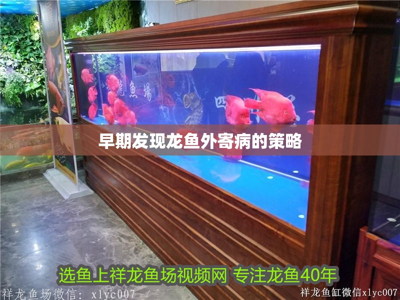 早期發現龍魚外寄病的策略