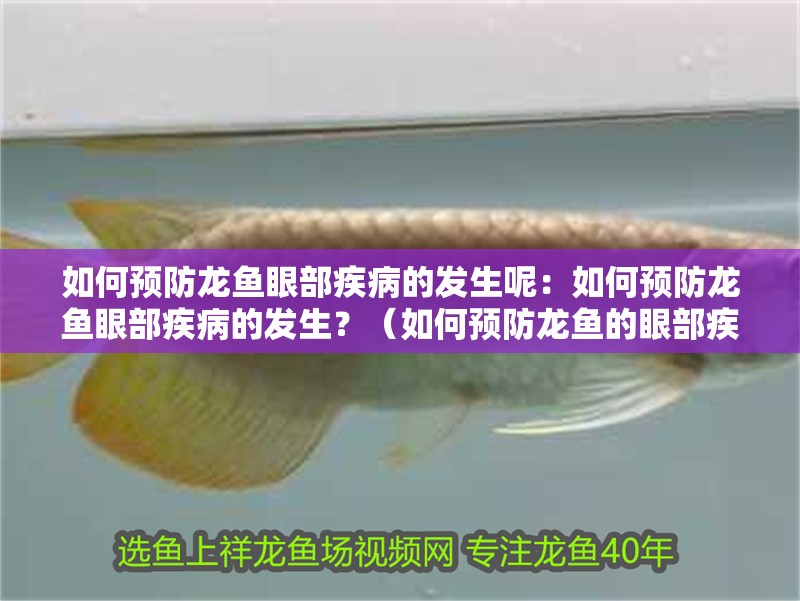 如何預(yù)防龍魚(yú)眼部疾病的發(fā)生呢：如何預(yù)防龍魚(yú)眼部疾病的發(fā)生？（如何預(yù)防龍魚(yú)的眼部疾病）