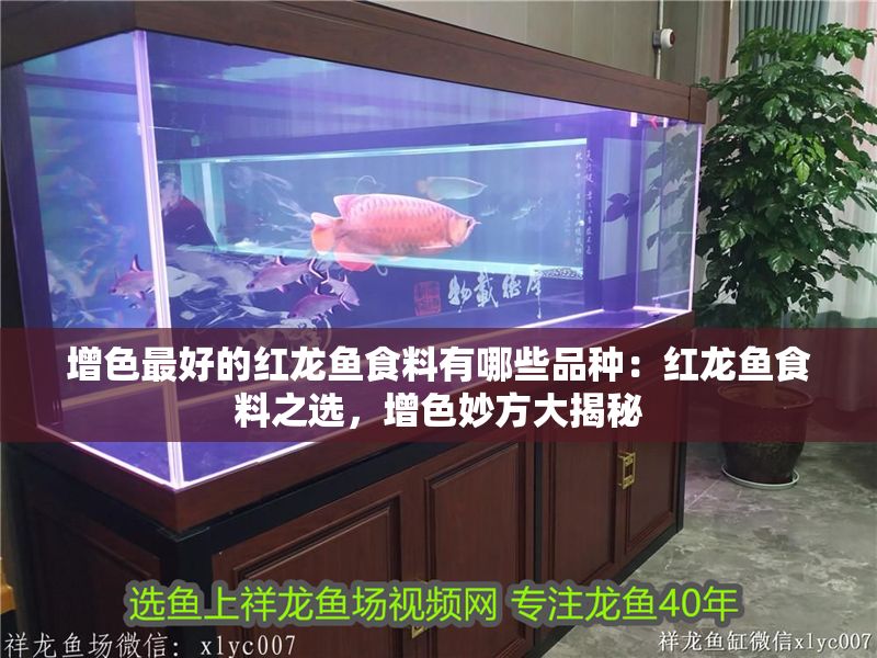 增色最好的紅龍魚食料有哪些品種：紅龍魚食料之選，增色妙方大揭秘