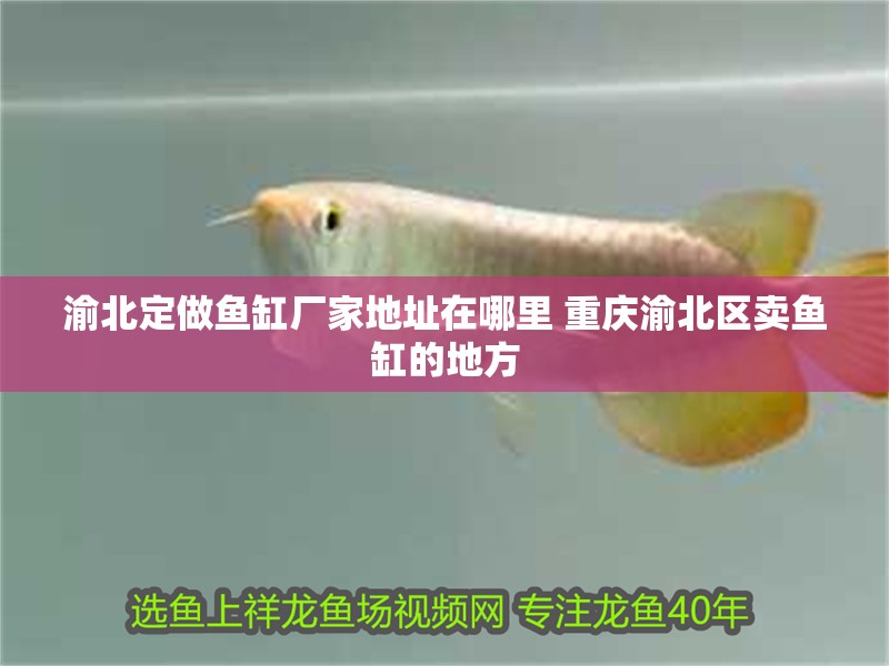 渝北定做魚缸廠家地址在哪里 重慶渝北區賣魚缸的地方 渝北定做魚缸廠家地址在哪里 重慶渝北區賣魚缸的地方 觀賞魚百科