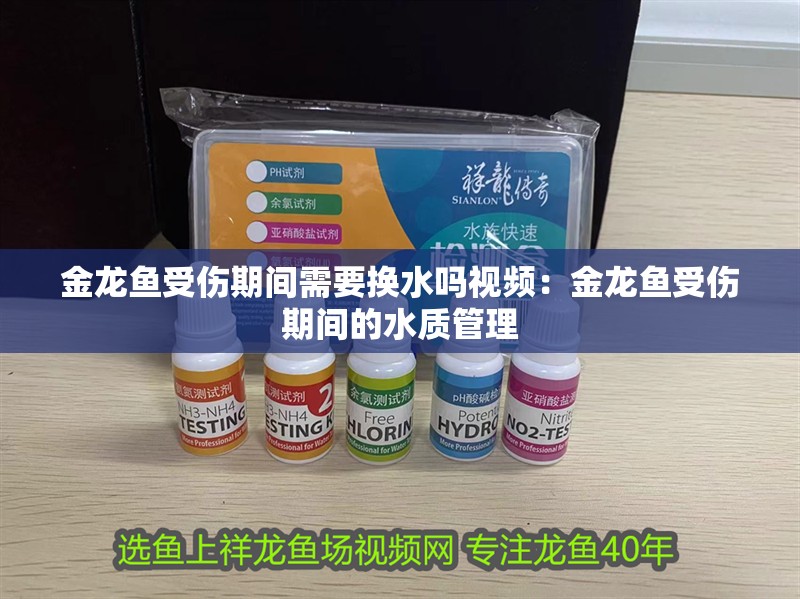 金龍魚受傷期間需要換水嗎視頻：金龍魚受傷期間的水質(zhì)管理