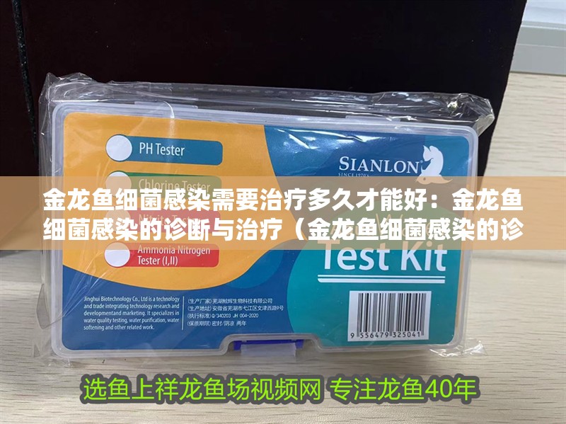 金龍魚細(xì)菌感染需要治療多久才能好：金龍魚細(xì)菌感染的診斷與治療（金龍魚細(xì)菌感染的診斷和治療）