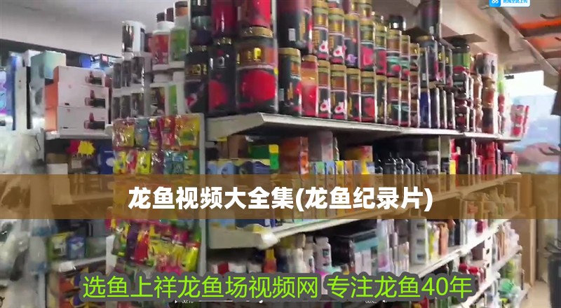 魚缸用增氧泵價格是多少:魚缸增氧機-xtrac增氧機-xtrac增氧機 龍魚視頻大全集(龍魚紀錄片) 觀賞魚百科 龍魚視頻大全集(龍魚紀錄片) 龍魚視頻大全集(龍魚紀錄片) 觀賞魚百科