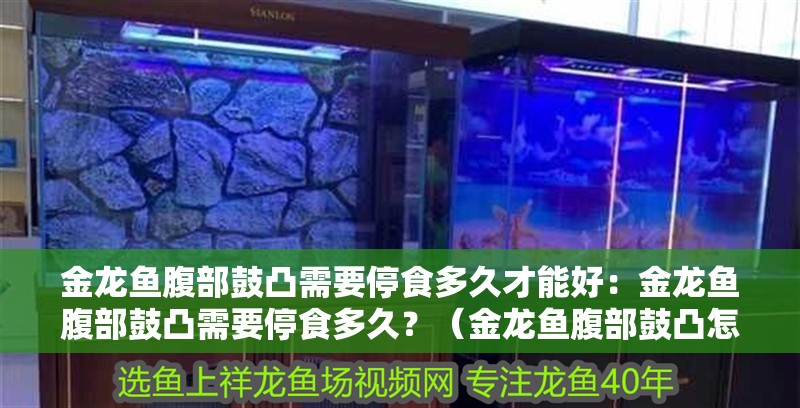 金龍魚腹部鼓凸需要停食多久才能好：金龍魚腹部鼓凸需要停食多久？（金龍魚腹部鼓凸怎么辦） 金龍魚腹部鼓凸需要停食多久才能好：金龍魚腹部鼓凸需要停食多久？（金龍魚腹部鼓凸怎么辦） 水族問答