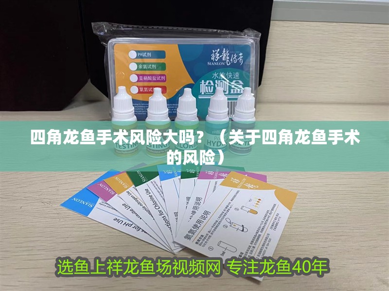 四角龍魚手術風險大嗎？（關于四角龍魚手術的風險） 四角龍魚手術風險大嗎？（關于四角龍魚手術的風險） 龍魚百科