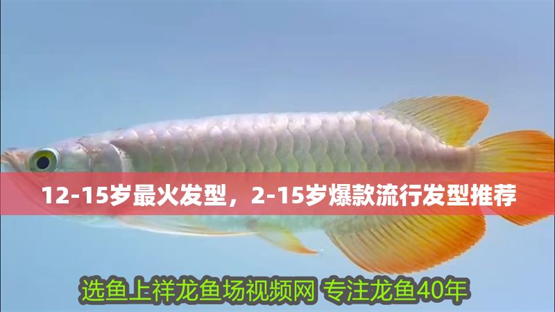 12-15歲最火發型，2-15歲爆款流行發型推薦