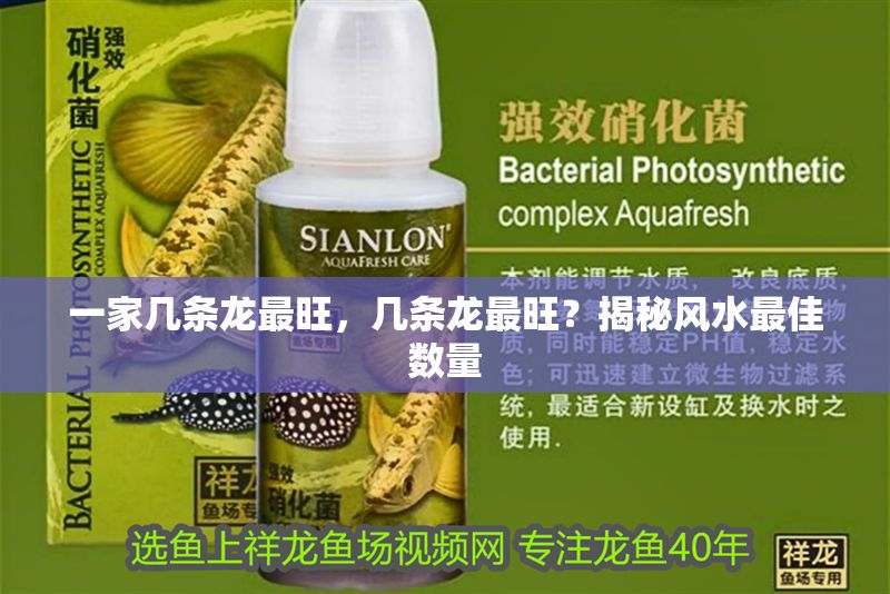 一家幾條龍最旺，幾條龍最旺？揭秘風水最佳數量