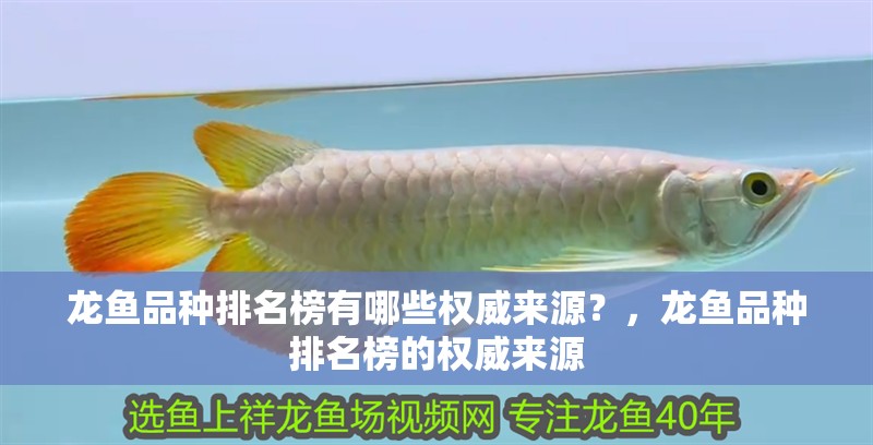 龍魚品種排名榜有哪些權威來源？，龍魚品種排名榜的權威來源 龍魚品種排名榜有哪些權威來源？，龍魚品種排名榜的權威來源 龍魚百科