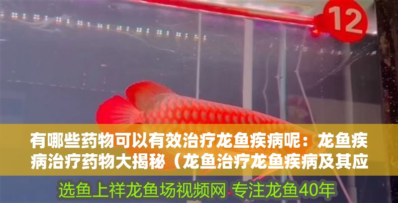有哪些藥物可以有效治療龍魚(yú)疾病呢：龍魚(yú)疾病治療藥物大揭秘（龍魚(yú)治療龍魚(yú)疾病及其應(yīng)用方法及其應(yīng)用方法及其應(yīng)用）