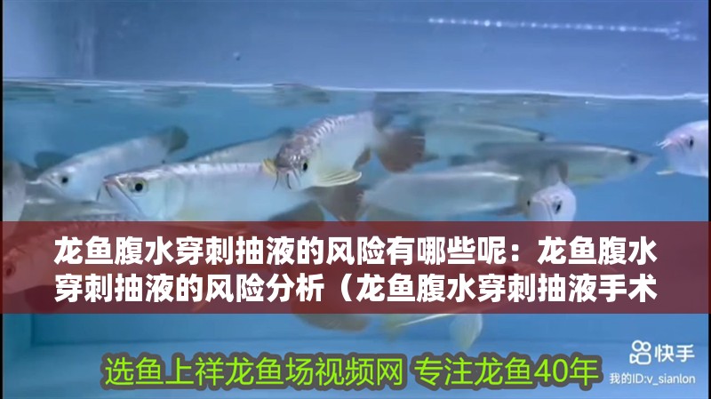 龍魚腹水穿刺抽液的風(fēng)險(xiǎn)有哪些呢：龍魚腹水穿刺抽液的風(fēng)險(xiǎn)分析（龍魚腹水穿刺抽液手術(shù)可能會(huì)影響龍魚的健康生活和活動(dòng)）