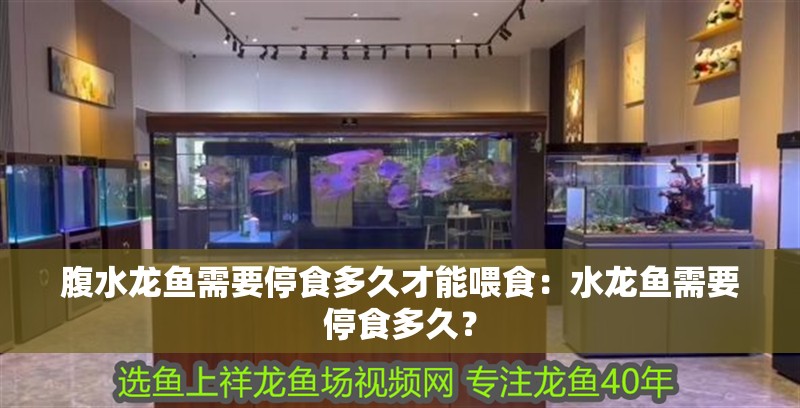 腹水龍魚需要停食多久才能喂食：水龍魚需要停食多久？