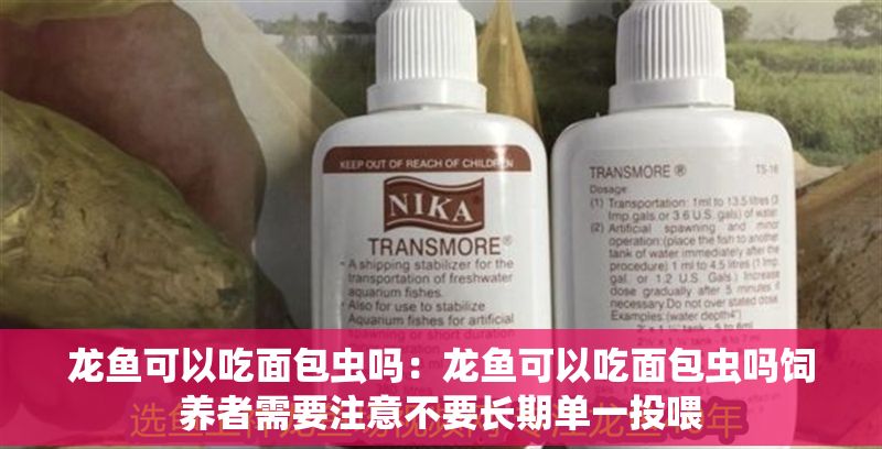 龍魚可以吃面包蟲嗎：龍魚可以吃面包蟲嗎飼養者需要注意不要長期單一投喂