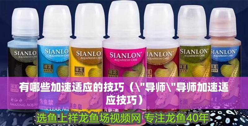 有哪些加速適應的技巧（\
