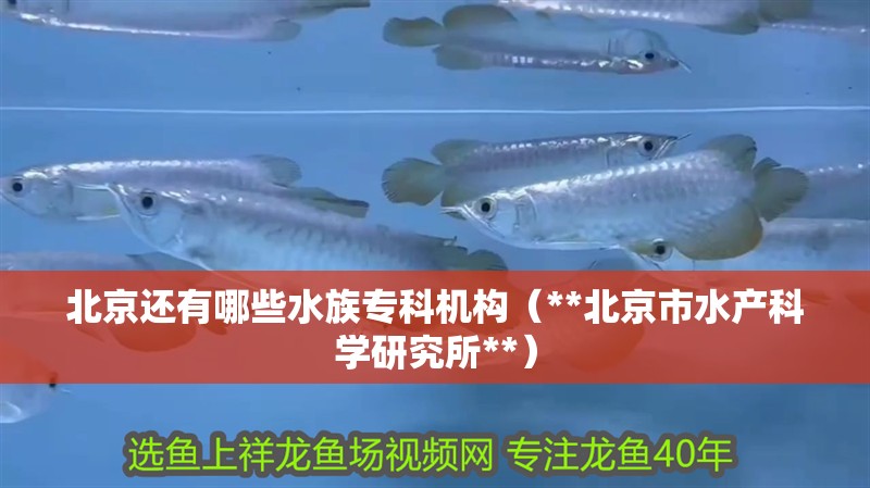 北京還有哪些水族專科機構（**北京市水產科學研究所**） 北京還有哪些水族專科機構（**北京市水產科學研究所**） 龍魚百科