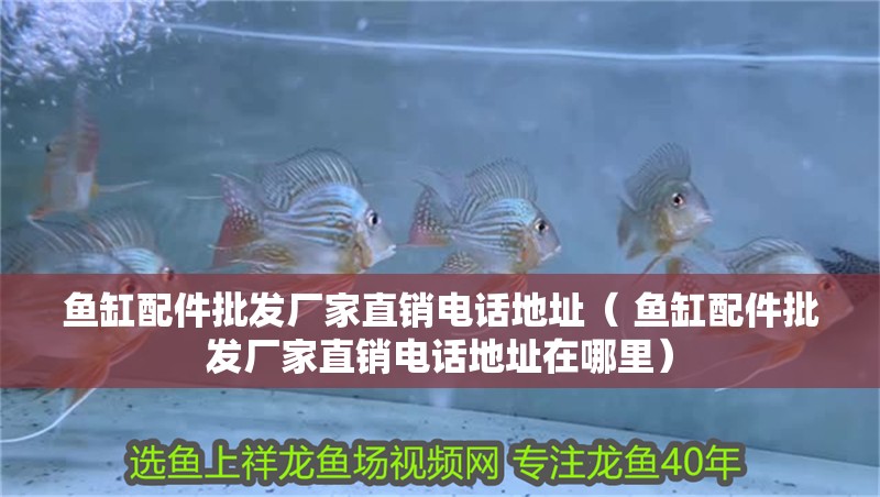 魚缸配件批發(fā)廠家直銷電話地址（ 魚缸配件批發(fā)廠家直銷電話地址在哪里） 魚缸配件批發(fā)廠家直銷電話地址（ 魚缸配件批發(fā)廠家直銷電話地址在哪里） 觀賞魚百科