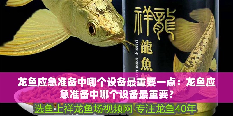 龍魚應急準備中哪個設備最重要一點：龍魚應急準備中哪個設備最重要？