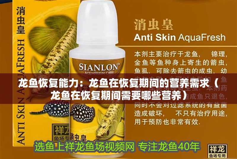 龍魚恢復(fù)能力：龍魚在恢復(fù)期間的營養(yǎng)需求（龍魚在恢復(fù)期間需要哪些營養(yǎng)）
