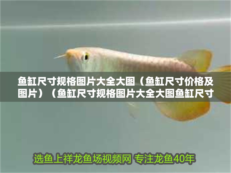 魚缸尺寸規格圖片大全大圖（魚缸尺寸價格及圖片）（魚缸尺寸規格圖片大全大圖魚缸尺寸圖片大全大圖解）