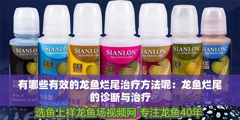 有哪些有效的龍魚爛尾治療方法呢：龍魚爛尾的診斷與治療