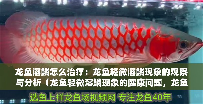 龍魚溶鱗怎么治療：龍魚輕微溶鱗現象的觀察與分析（龍魚輕微溶鱗現象的健康問題，龍魚輕微溶鱗現象需要關注）