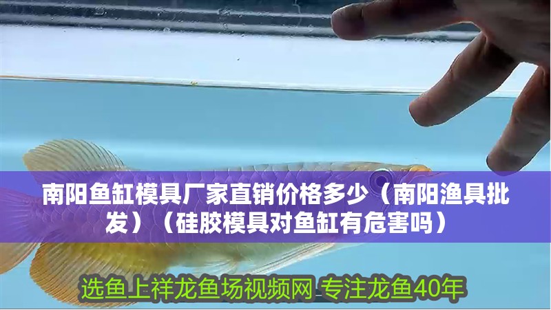 南陽魚缸模具廠家直銷價格多少（南陽漁具批發(fā)）（硅膠模具對魚缸有危害嗎）