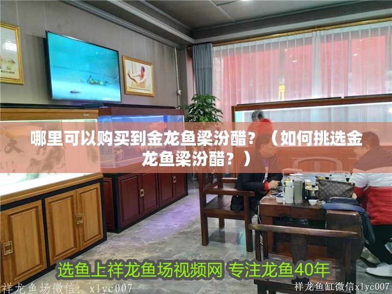 哪里可以購買到金龍魚梁汾醋？（如何挑選金龍魚梁汾醋？）