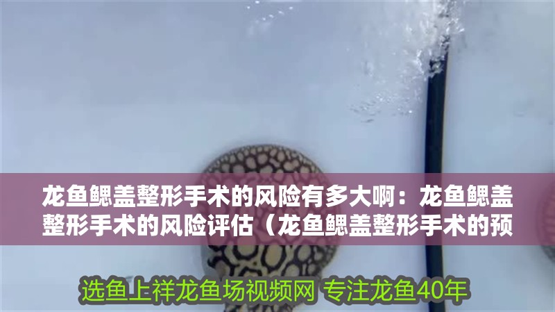龍魚鰓蓋整形手術的風險有多大啊：龍魚鰓蓋整形手術的風險評估（龍魚鰓蓋整形手術的預防手術風險） 龍魚鰓蓋整形手術的風險有多大啊：龍魚鰓蓋整形手術的風險評估（龍魚鰓蓋整形手術的預防手術風險） 水族問答