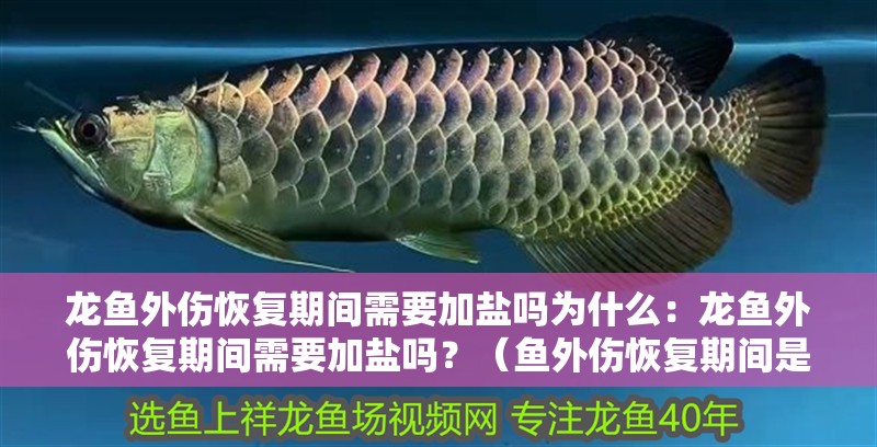 龍魚外傷恢復期間需要加鹽嗎為什么：龍魚外傷恢復期間需要加鹽嗎？（魚外傷恢復期間是否需要加鹽）