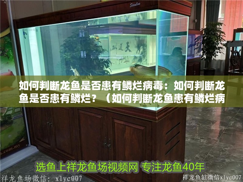 如何判斷龍魚是否患有鱗爛病毒：如何判斷龍魚是否患有鱗爛？（如何判斷龍魚患有鱗爛病毒）