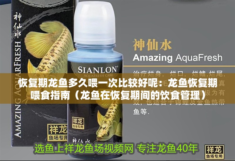 恢復期龍魚多久喂一次比較好呢：龍魚恢復期喂食指南（龍魚在恢復期間的飲食管理）