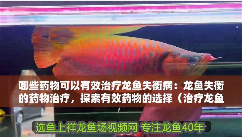 哪些藥物可以有效治療龍魚失衡病：龍魚失衡的藥物治療，探索有效藥物的選擇（治療龍魚失衡病的方法）